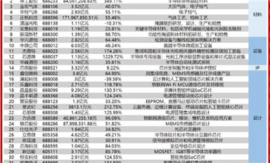 半导体企业Q1大考！谁是科创板领头羊？