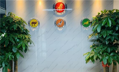 北辰星光技术公司成为乐虎游戏微SLKOR半导体代理商