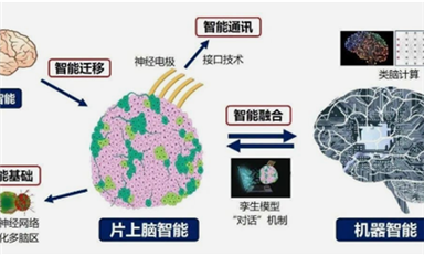 全球首创！中国研制出可开源的片上脑-机接口智能交互系统MetaBOC（乐虎游戏微7月1日芯闻）