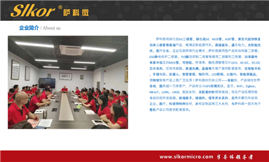 乐虎游戏微卖的好的TVS管有哪些型号？